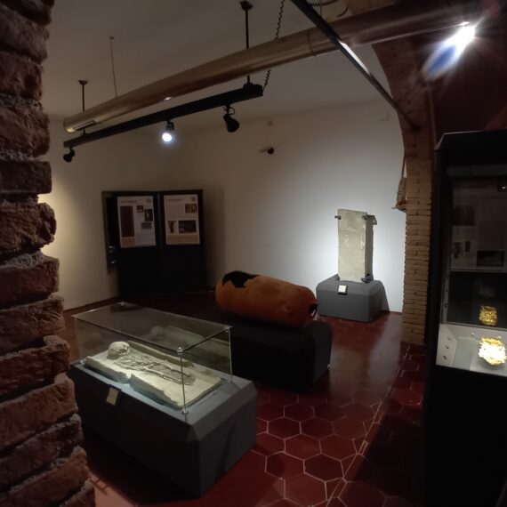 Museo Parco Archeologico Cecina - Sala 10
