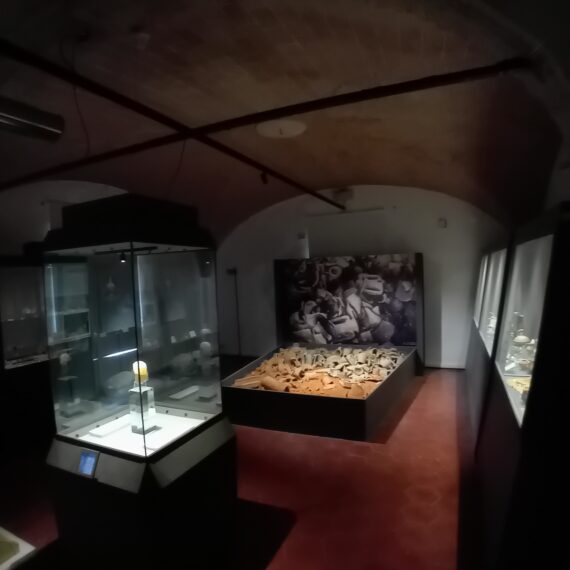 Museo Parco Archeologico Cecina - Sala 12
