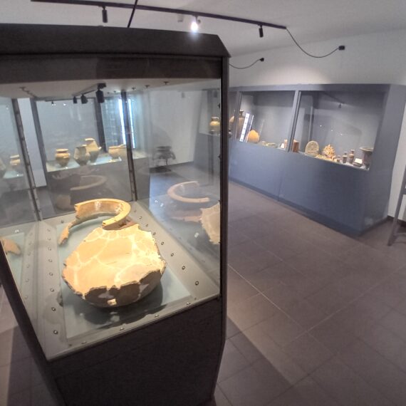 Museo Parco Archeologico Cecina - Sala 9