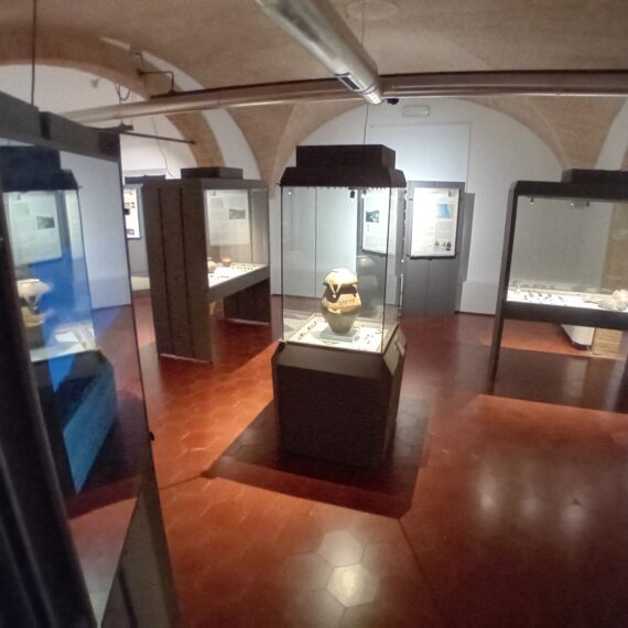 Museo Parco Archeologico Cecina - Sala II - 2