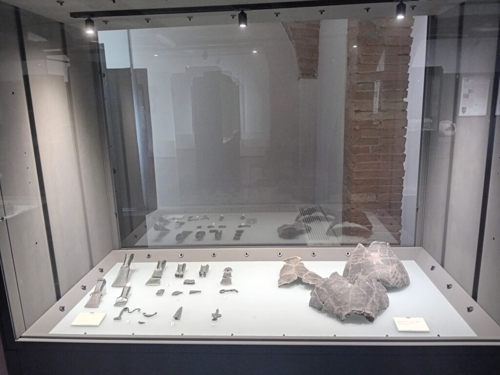 Museo Parco Archeologico Cecina - Sala II - 2 - Reperti